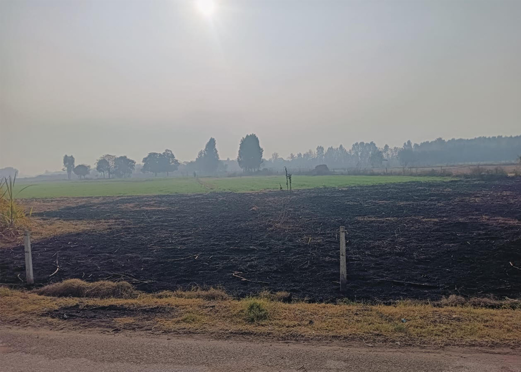 Chiller Free | Park Access | Vacant Gallery Image